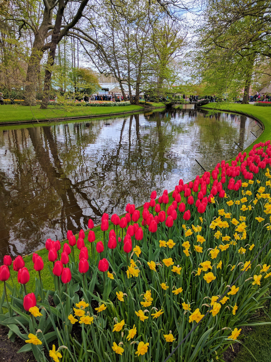 Jardin Keukenhof Génial Our Visit to Amsterdam and Keukenhof In April Mom In Zurich