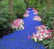 Jardin Keukenhof Luxe 5 Sights so Incredible You Won T Believe they Re Real