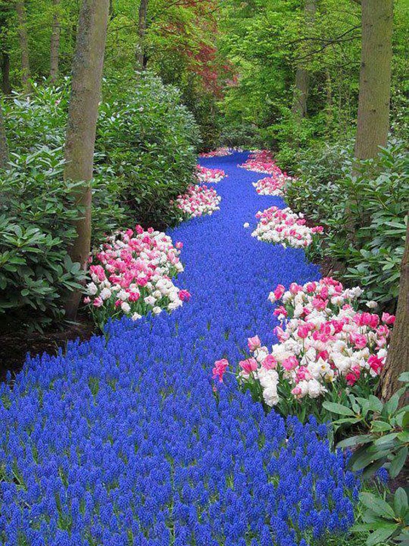 Jardin Keukenhof Luxe 5 Sights so Incredible You Won T Believe they Re Real