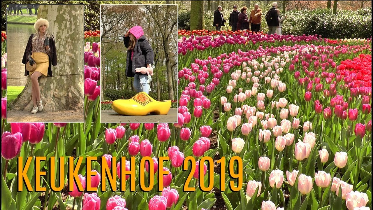 Jardin Keukenhof Luxe Impression Of Keukenhof Flower Gardens 2019 Lisse Holland