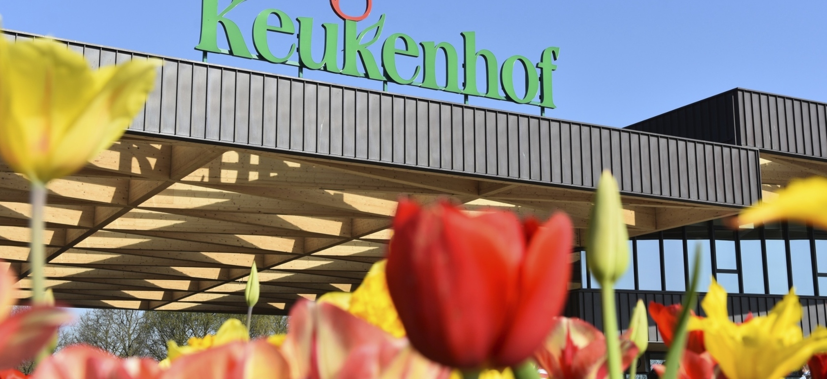 keukenhof from rotterdam header