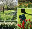 Jardin Keukenhof Nouveau Keukenhof 2019