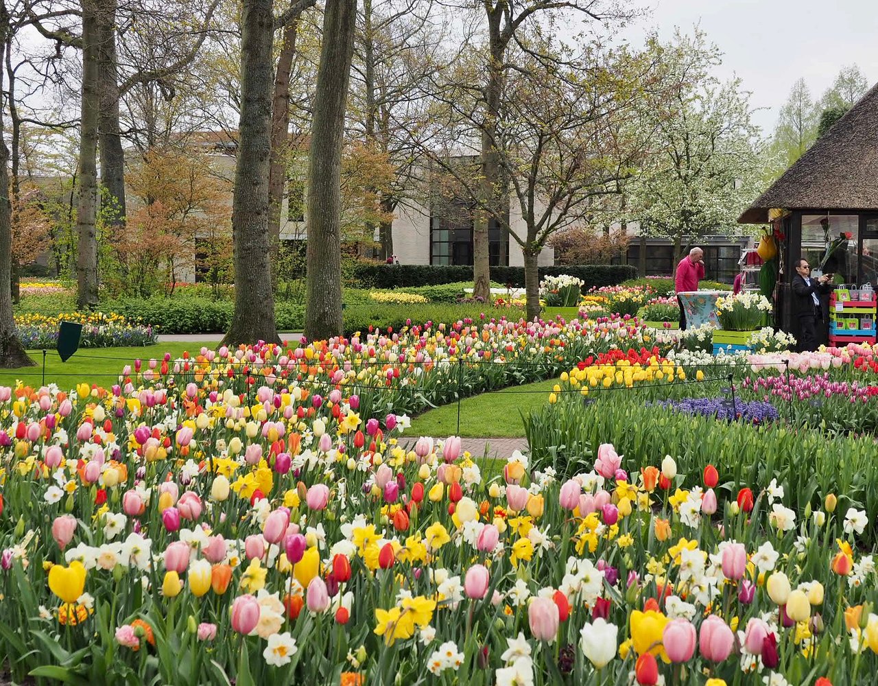 Jardin Keukenhof Nouveau Keukenhof Lisse 2020 All You Need to Know before You Go