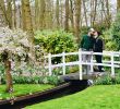 Jardin Keukenhof Nouveau Keukenhof Tulip Blossom Holland Our Travel Guide
