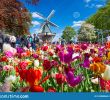 Jardin Keukenhof Unique Keukenhof the Netherlands May 2018 Blooming Colorful