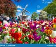 Jardin Keukenhof Unique Keukenhof the Netherlands May 2018 Blooming Colorful