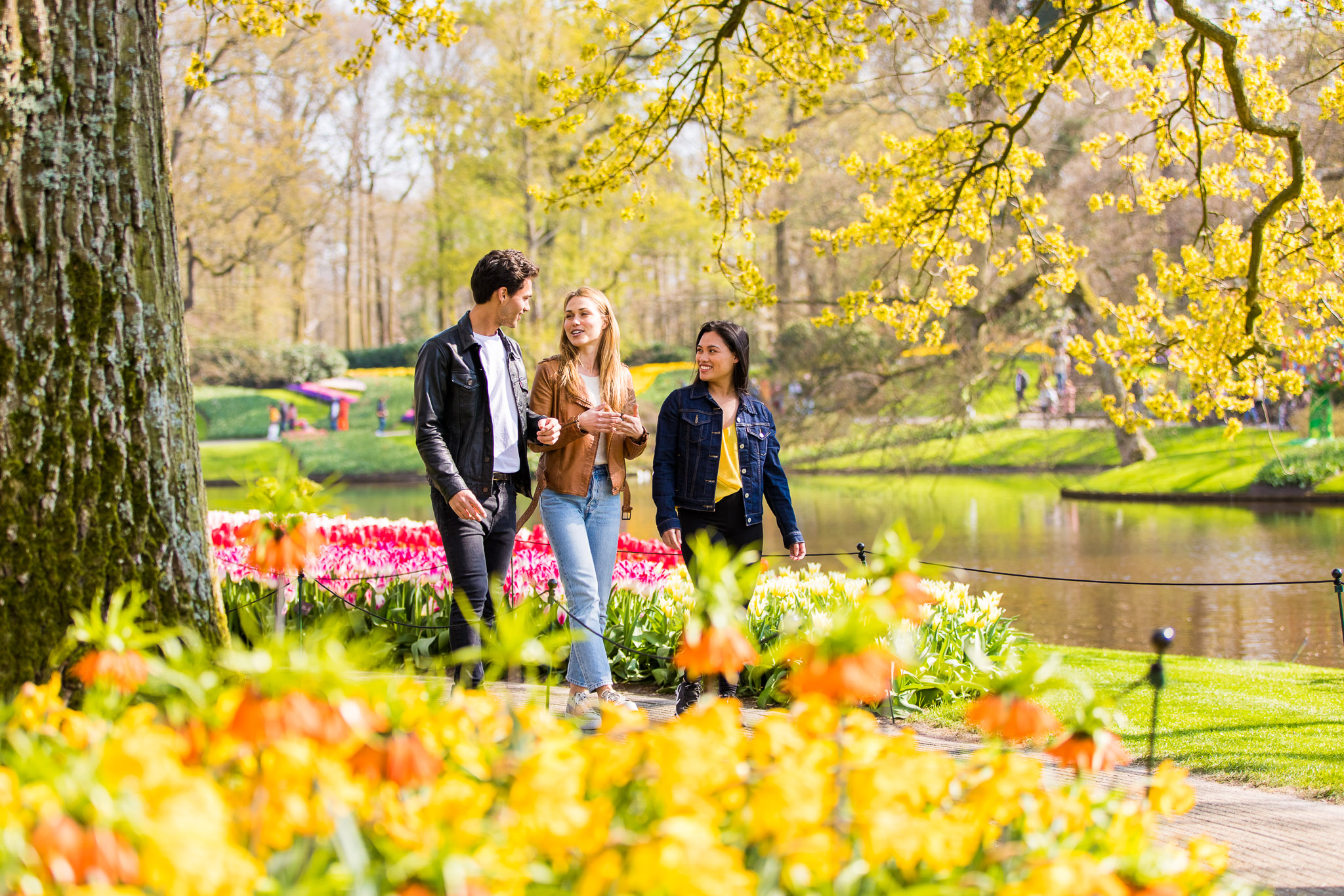 keukenhof jardines