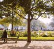 Jardin Luxembourg Paris Luxe top 5 Parks and Gardens In Paris