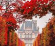 Jardin Luxembourg Paris Unique Tuileries Garden In Paris