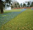 Jardin Lyon Élégant Jardin Public Aval Lyon Fr