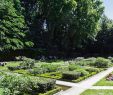 Jardin Lyon Frais Parc De Bercy