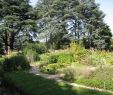 Jardin Lyon Génial Jardin Botanique De Lyon