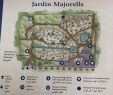 Jardin Majorelle Marrakech Beau Jardin Majorelle Marrakech 2020 All You Need to Know