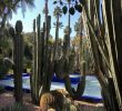 Jardin Majorelle Marrakech Beau Stylishfaith
