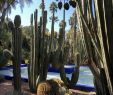 Jardin Majorelle Marrakech Beau Stylishfaith