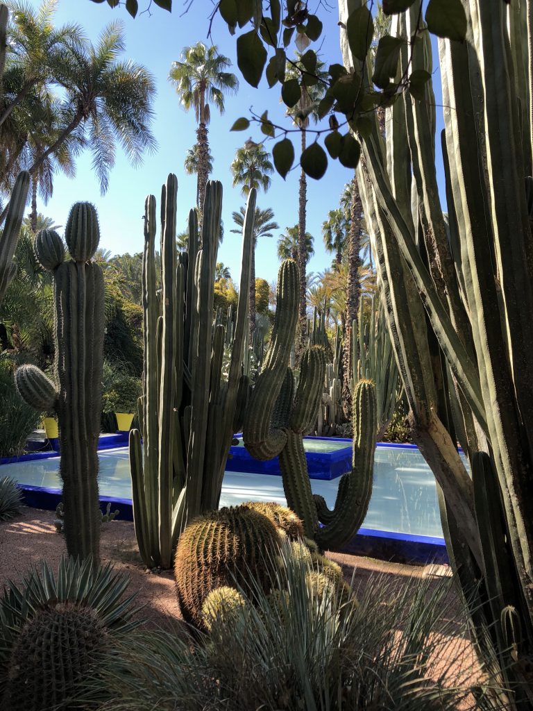 Jardin Majorelle Marrakech Beau Stylishfaith