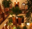 Jardin Majorelle Marrakech Best Of Book Hotels Near Marrakesch Jardin Majorelle – Hrs