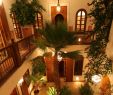Jardin Majorelle Marrakech Best Of Book Hotels Near Marrakesch Jardin Majorelle – Hrs