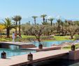 Jardin Majorelle Marrakech Charmant Fairmont Royal Palm Marrakech Marakesz Rezerwuj Pokoje W