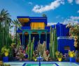 Jardin Majorelle Marrakech Élégant A Little Moroccan Beauty for This Amazing Day ðð¼ðða