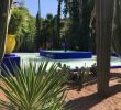 Jardin Majorelle Marrakech Frais Jardin Majorelle Marrakech 2020 All You Need to Know