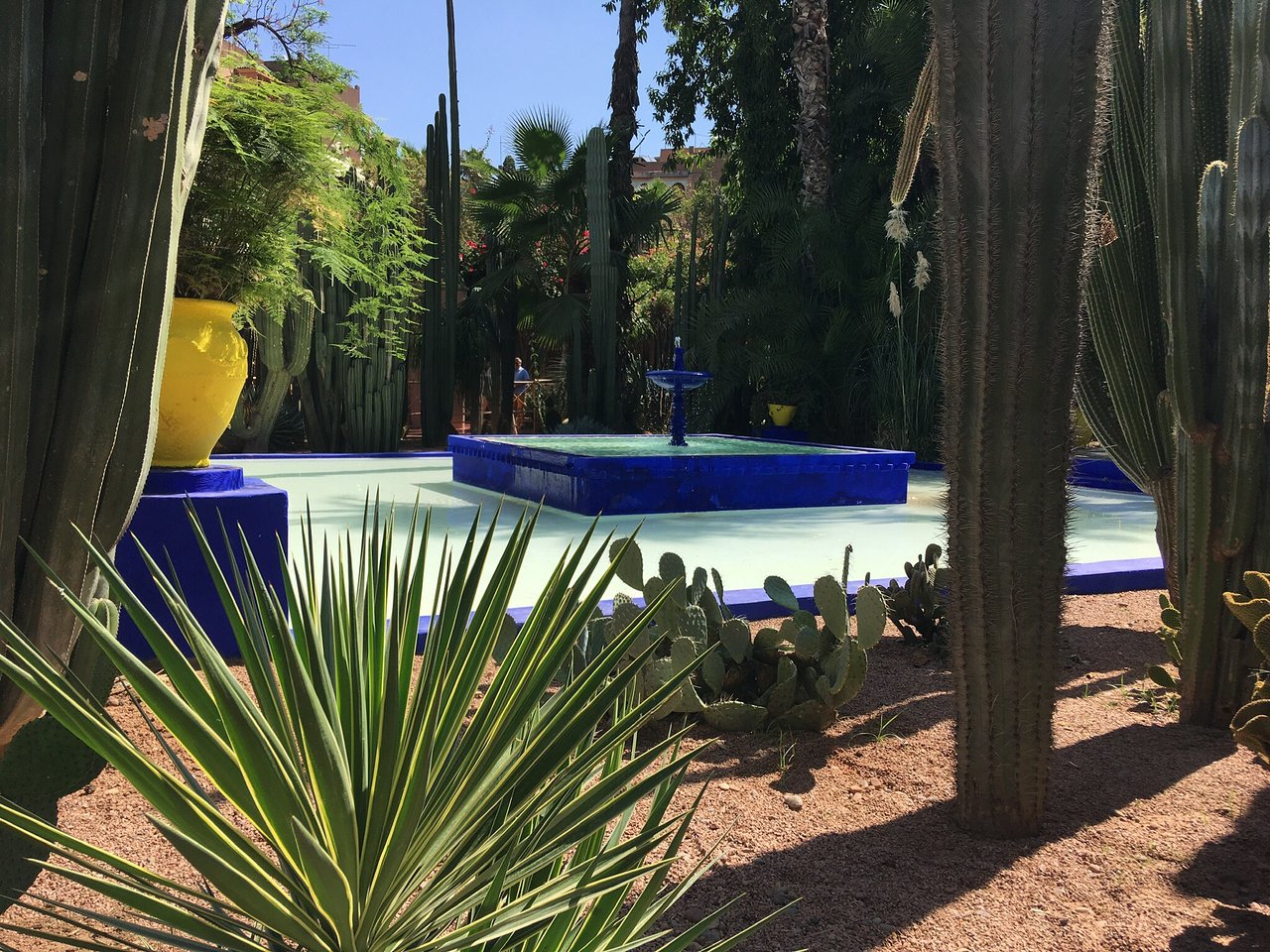 Jardin Majorelle Marrakech Frais Jardin Majorelle Marrakech 2020 All You Need to Know