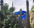 Jardin Majorelle Marrakech Frais Le Jardin Majorelle ð the Most Gorgeous Gardens Ever and