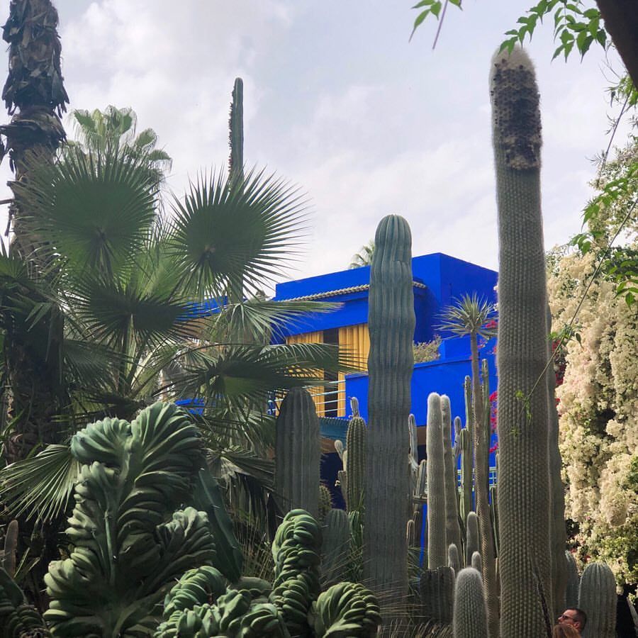 Jardin Majorelle Marrakech Frais Le Jardin Majorelle ð the Most Gorgeous Gardens Ever and