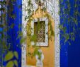 Jardin Majorelle Marrakech Frais Le Jardin Majorelle Le Jardin Bleu De Marrakech