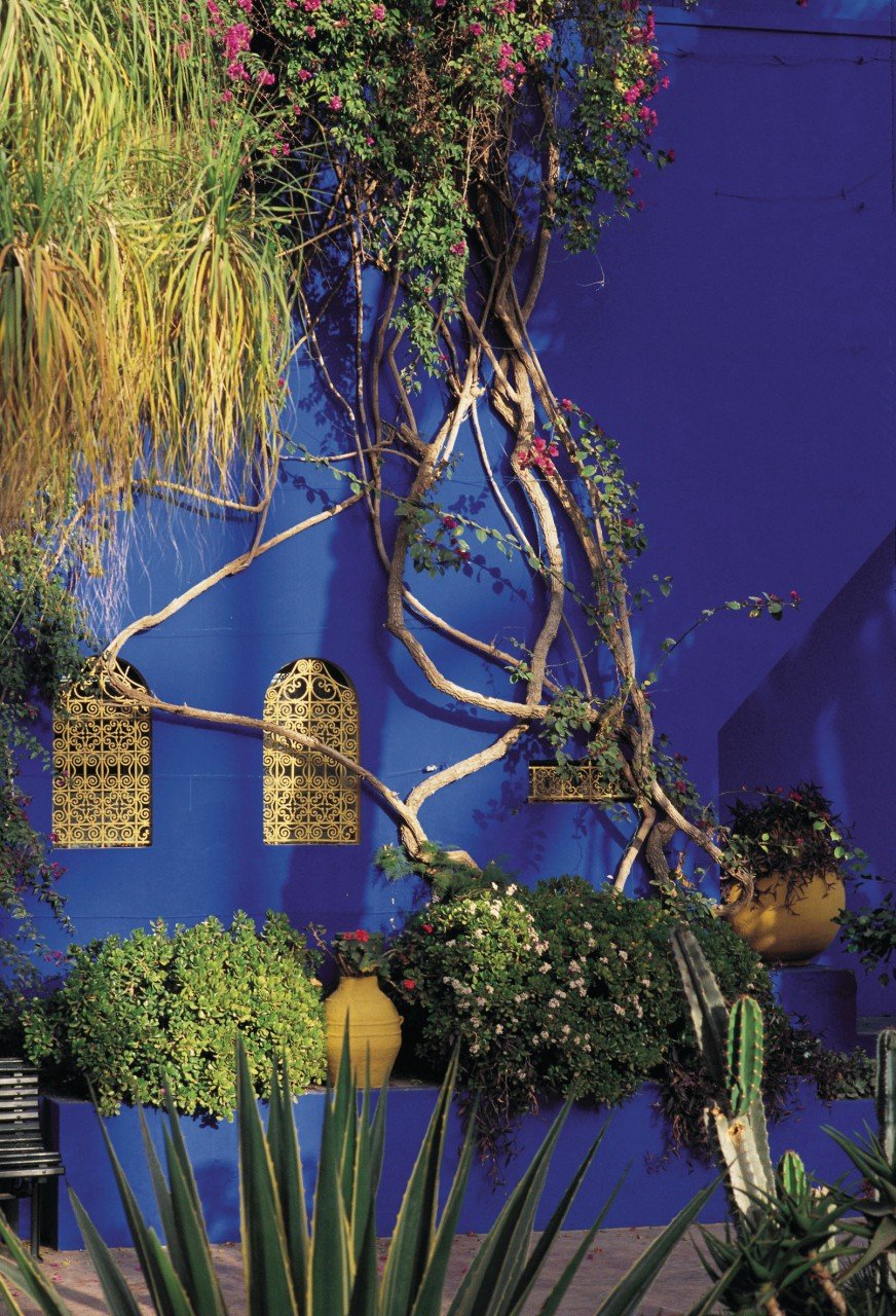 Jardin Majorelle Marrakech Frais S Morocco Page 1