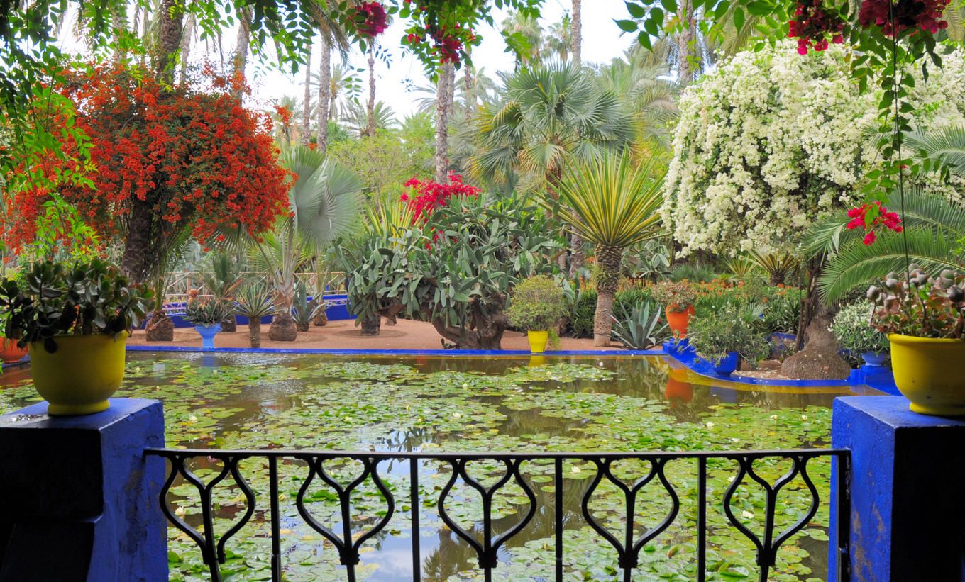 Jardin Majorelle Marrakech Génial Le Jardin Majorelle
