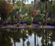 Jardin Majorelle Marrakech Luxe Jardin Majorelle Marrakech 2020 All You Need to Know