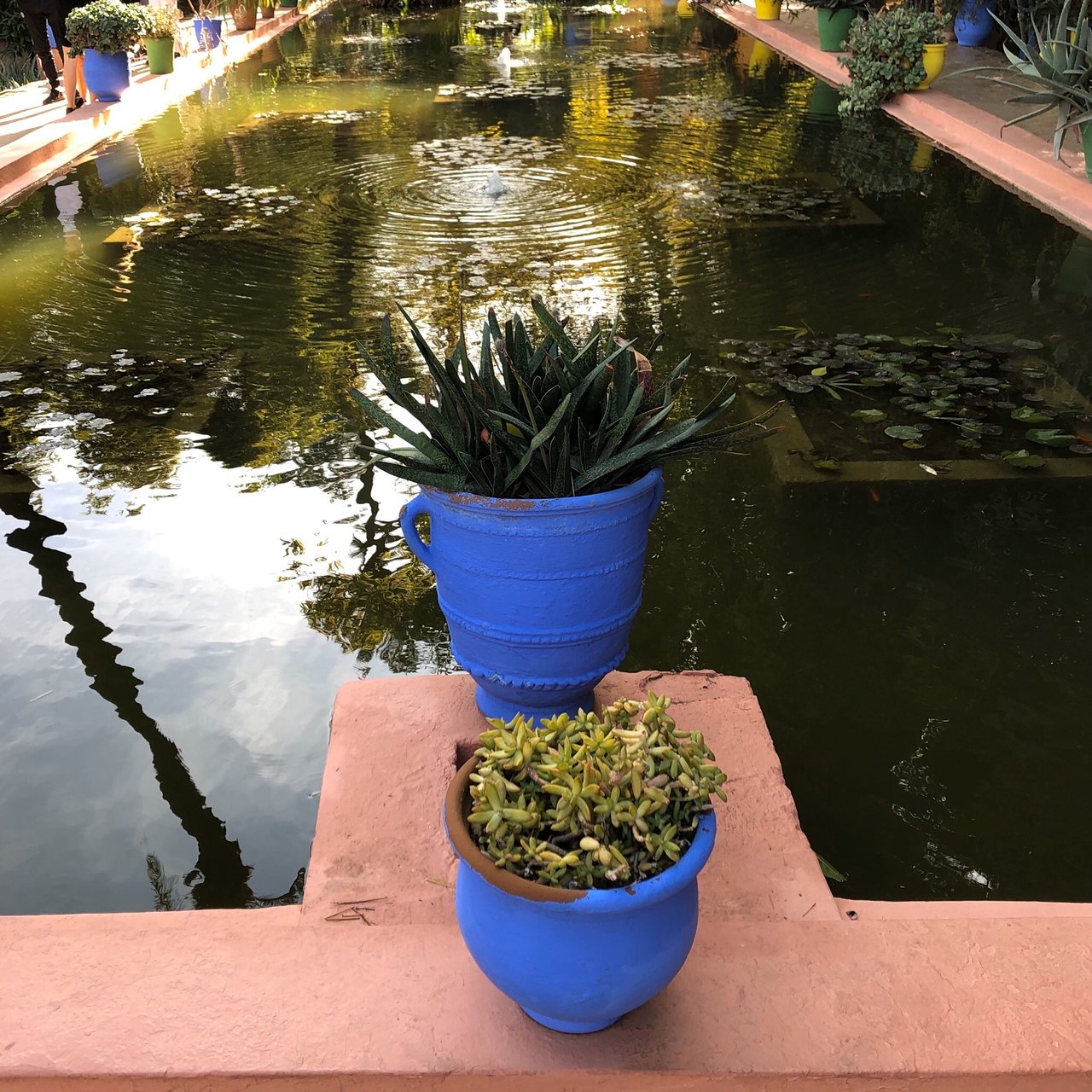 Jardin Majorelle Marrakech Luxe Jardin Majorelle Marrakech 2020 All You Need to Know