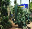 Jardin Majorelle Marrakech Unique Brilliant Blues Amongst the Cacti ðµ ðµðµðµ