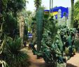 Jardin Majorelle Marrakech Unique Brilliant Blues Amongst the Cacti ðµ ðµðµðµ