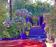 Jardin Majorelle Marrakech Unique Fleurs Et Jardin   Marrakech Smart Marrakech