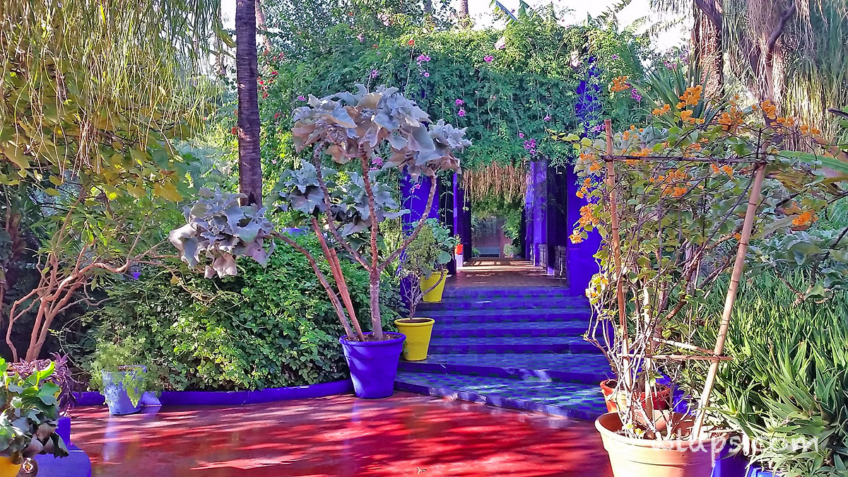 Jardin Majorelle Marrakech Unique Fleurs Et Jardin   Marrakech Smart Marrakech