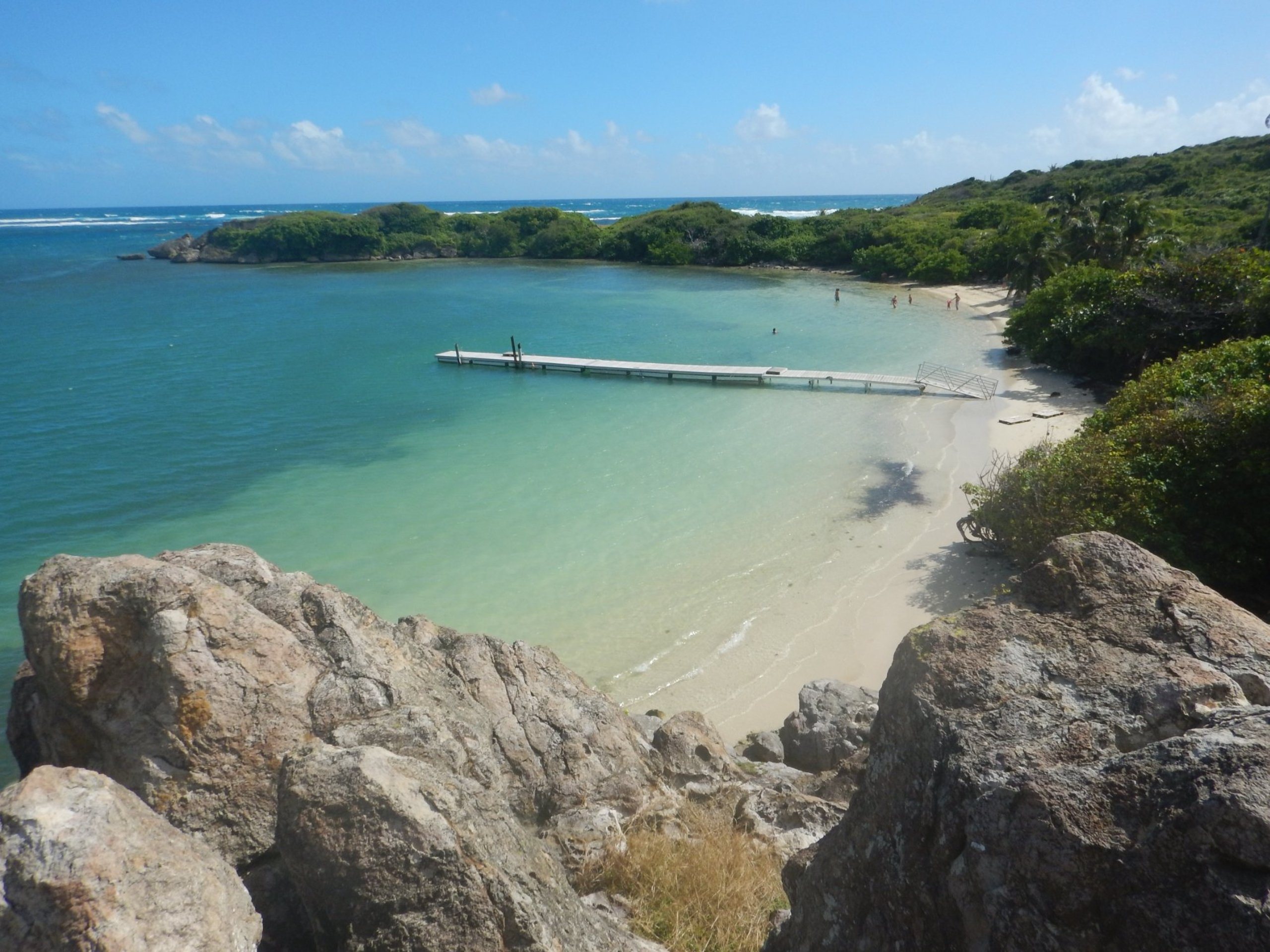 Jardin Martinique Beau Sainte Anne 2020 Best Of Sainte Anne Martinique tourism