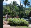 Jardin Martinique Best Of Beyond the Beach Schoelcher 2020 All You Need to Know