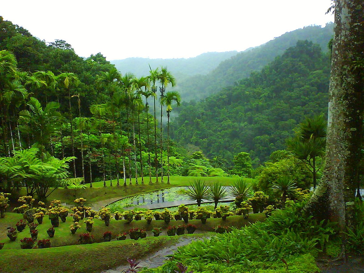 Jardin Martinique Charmant File Jardin Balata Martinique Panoramio 3