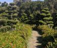 Jardin Martinique Charmant Santo Domingo Province 2020 Best Of Santo Domingo Province