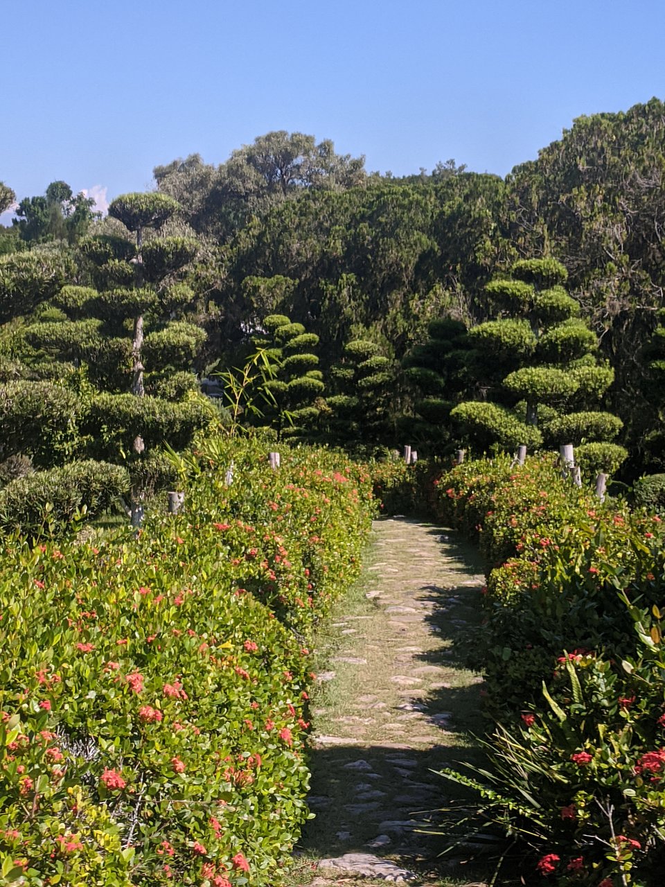 jardin botanico nacional