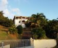 Jardin Martinique Frais Hebergements La Favorite Prices & Specialty B&b Reviews