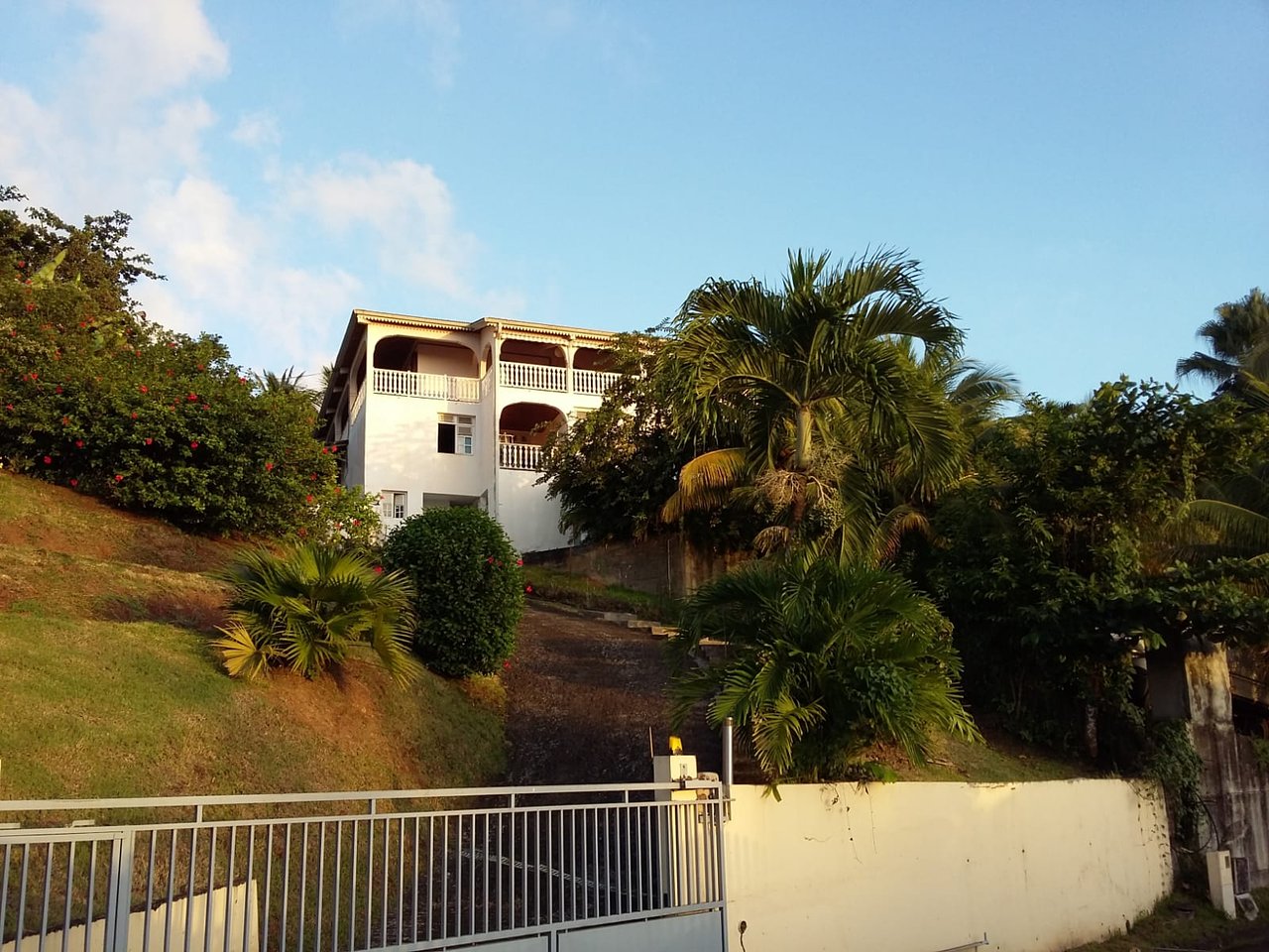 Jardin Martinique Frais Hebergements La Favorite Prices & Specialty B&b Reviews