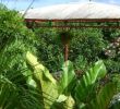 Jardin Martinique Frais Le Jardin De Bonneville La Trinite