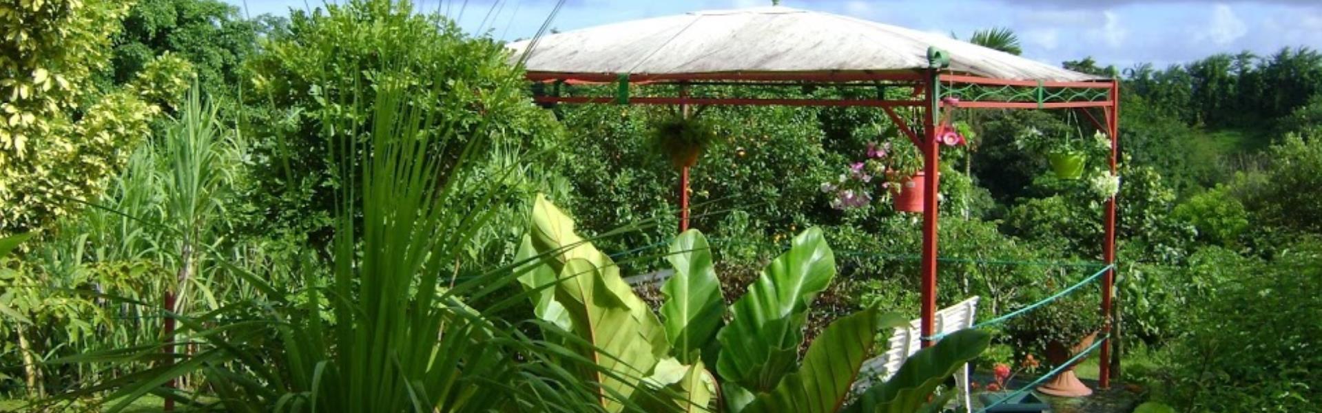 Jardin Martinique Frais Le Jardin De Bonneville La Trinite