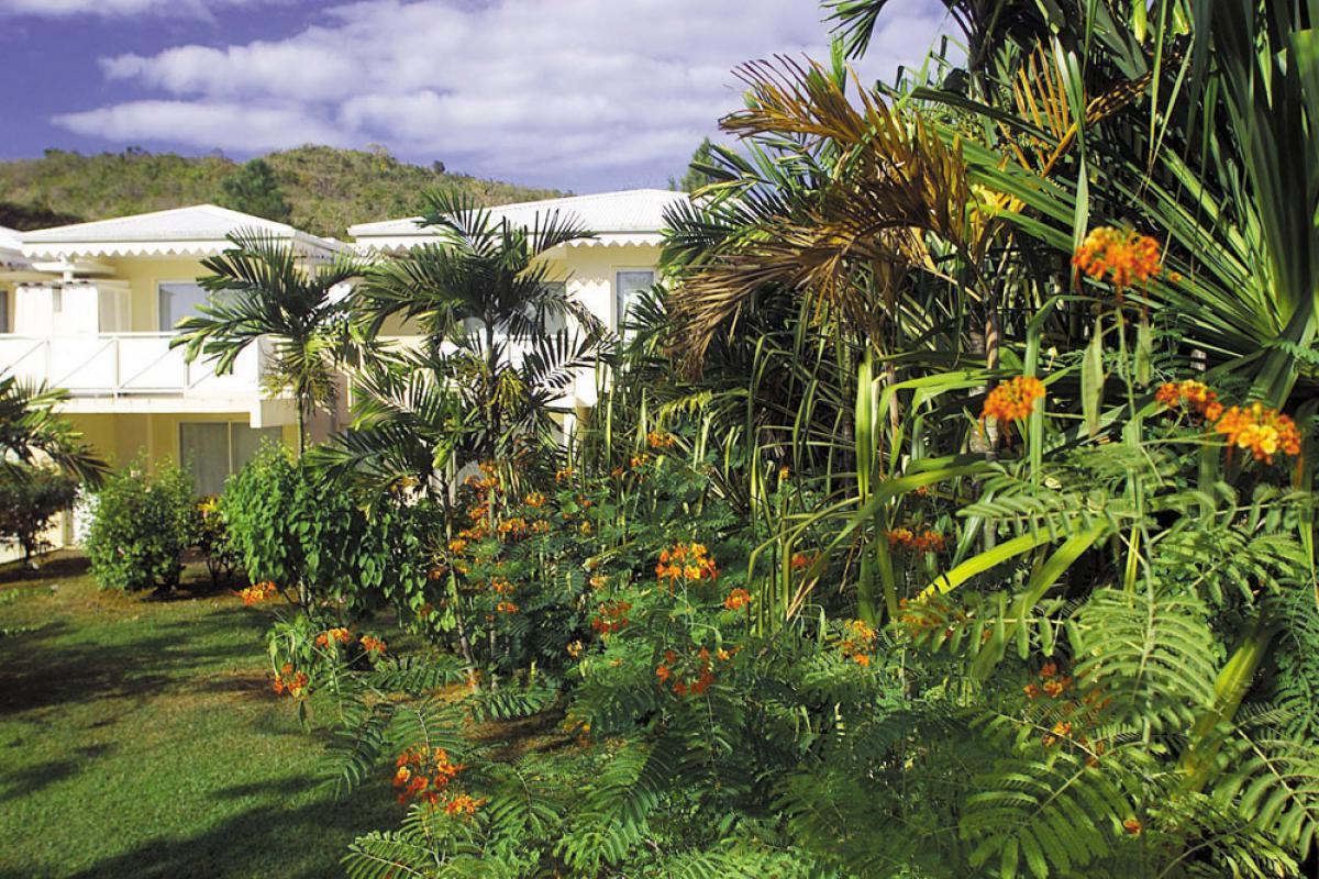Jardin Martinique Génial Thb Residence Caribia Hotel In Sainte Luce