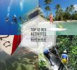 Jardin Martinique Inspirant 56 Best Martinique Images