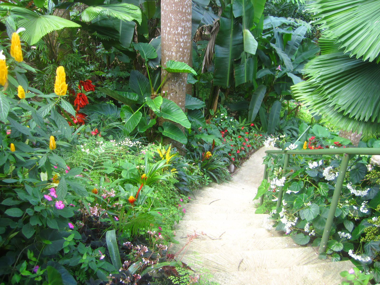 Jardin Martinique Inspirant Desvre the World