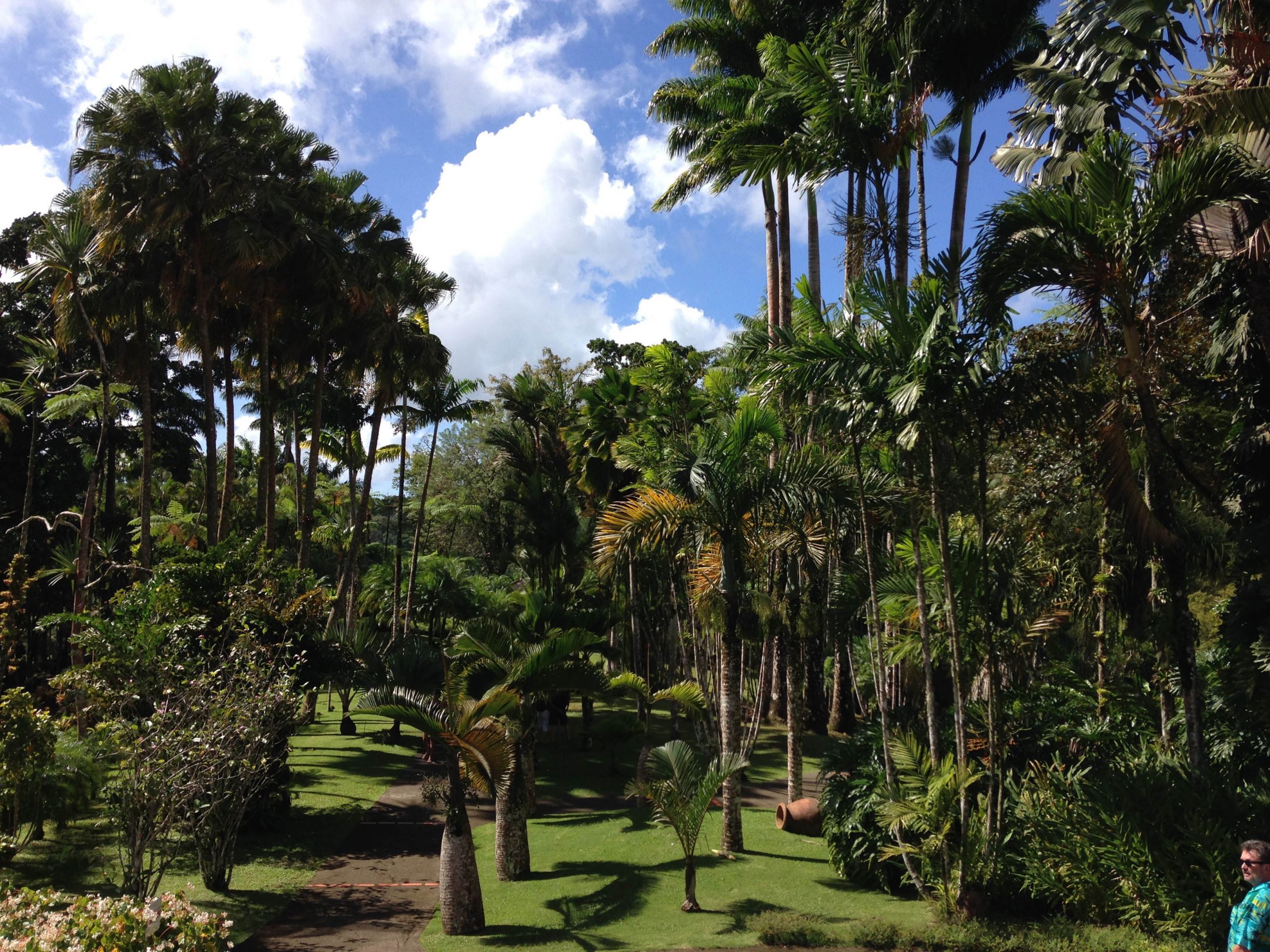 Jardin de Balata Martinique
